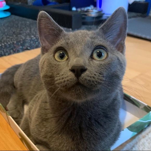 Meet your Posher, Maddi - Picture 1 of 1